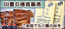 ��L�̒ʐM�̔�